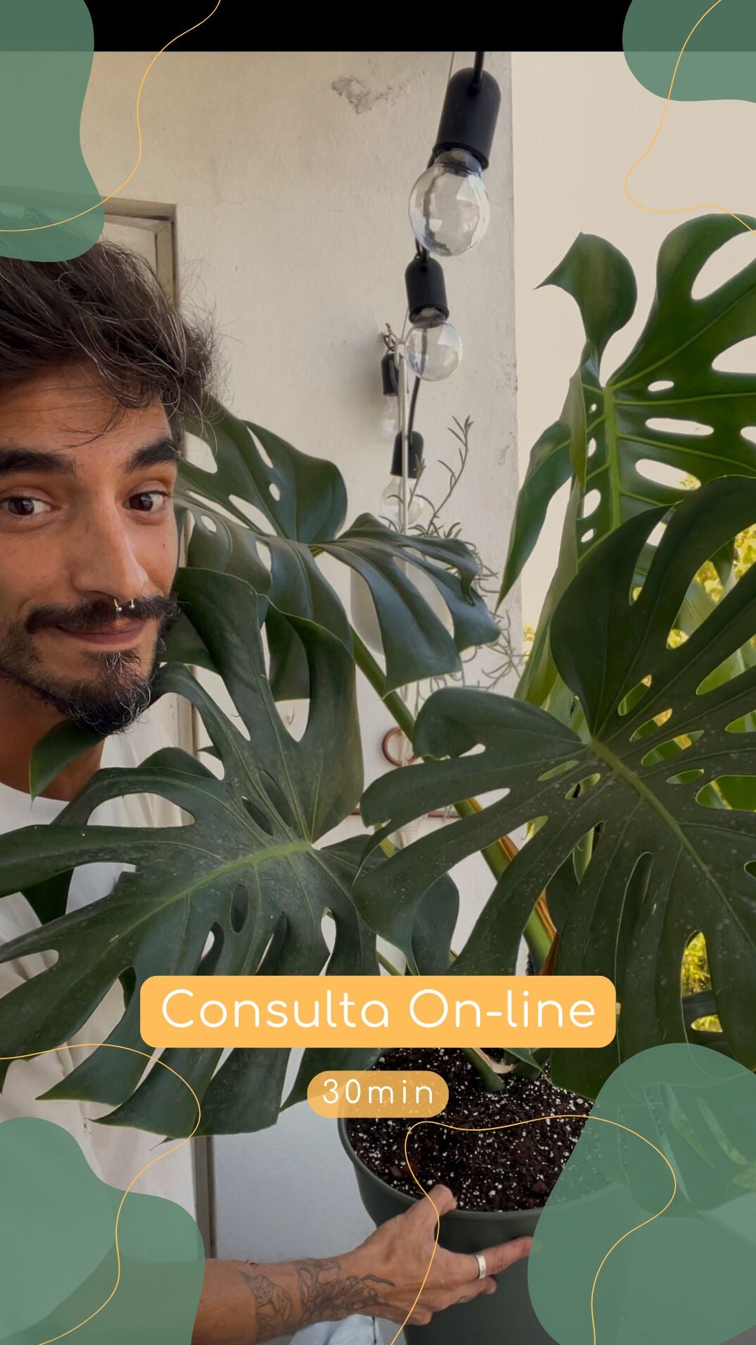 Assessoria para Cuidar as Tuas Plantas com Sucesso
