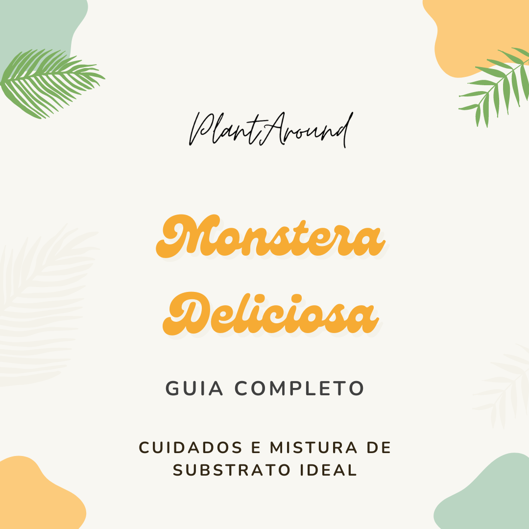 Guia Completo: Cuidados e Mistura de Substrato Ideal para Monstera Deliciosa