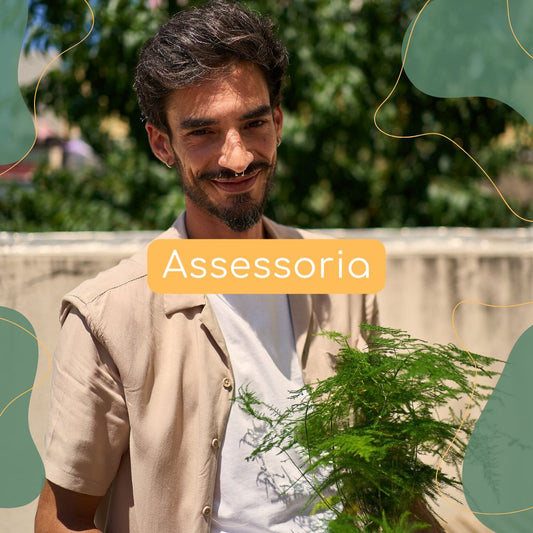 Assessoria para Cuidar as Tuas Plantas com Sucesso