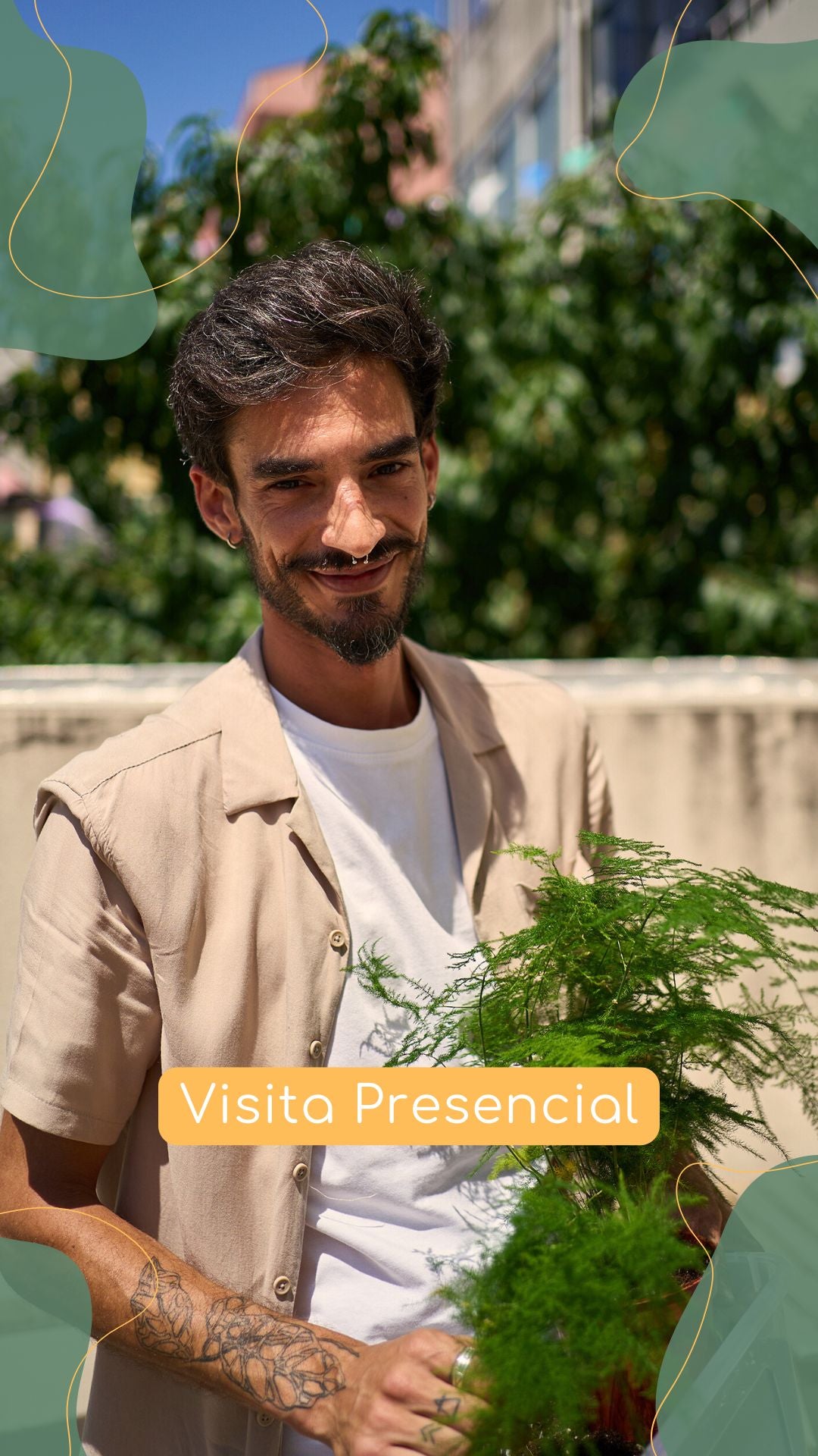 Assessoria para Cuidar as Tuas Plantas com Sucesso