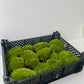 Musgo Bola Natural